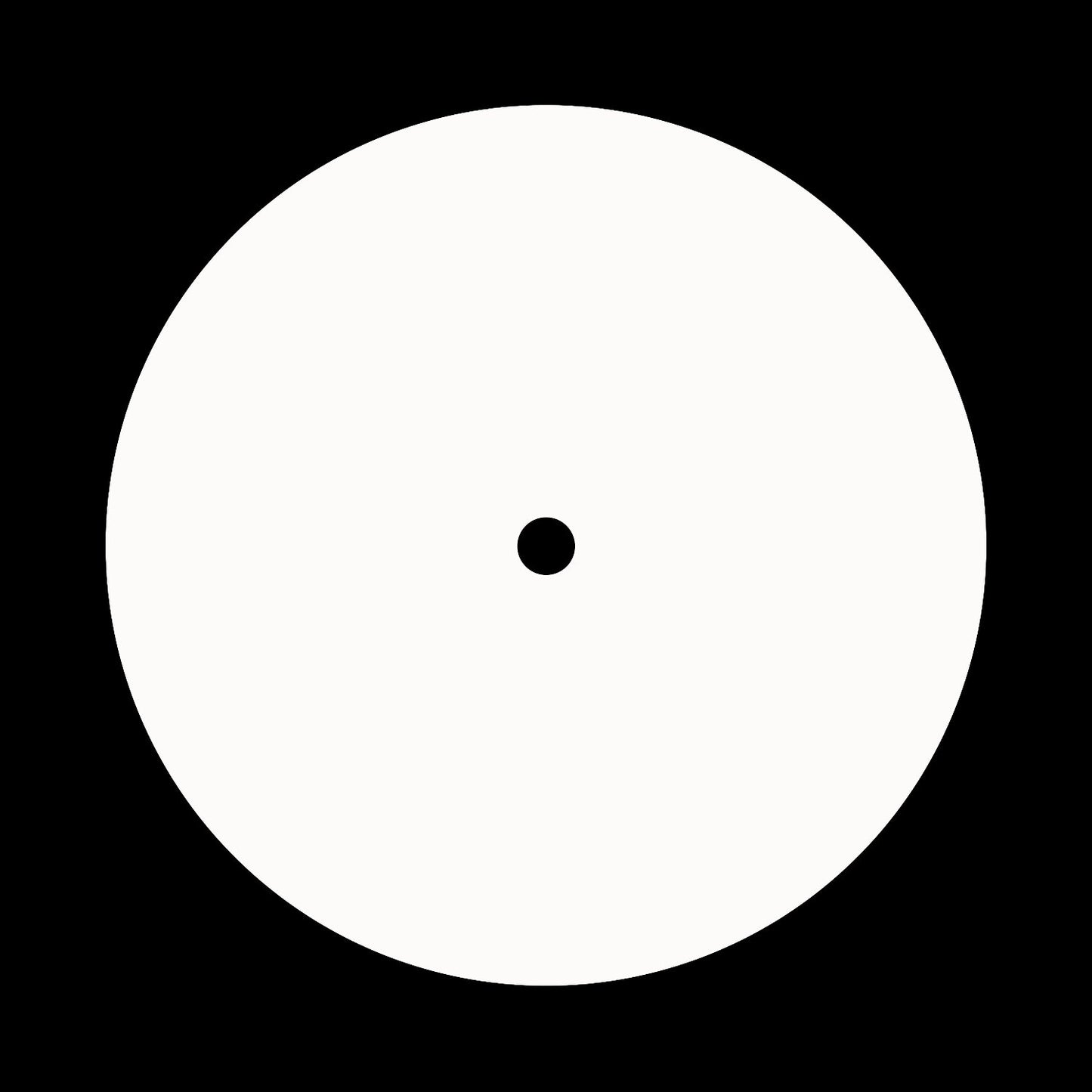 Blank Matte White Promo 12" Record Labels