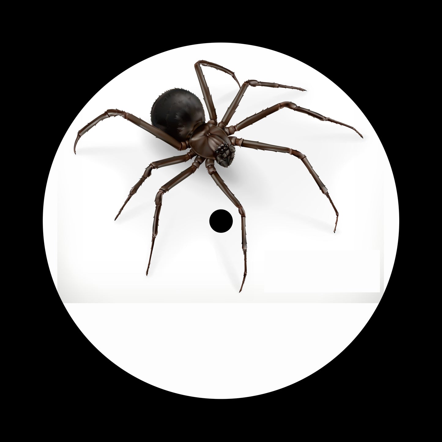 Halloween 3D Spider 7", 10", 12"/LP Vinyl Record Centre Labels (Pair)
