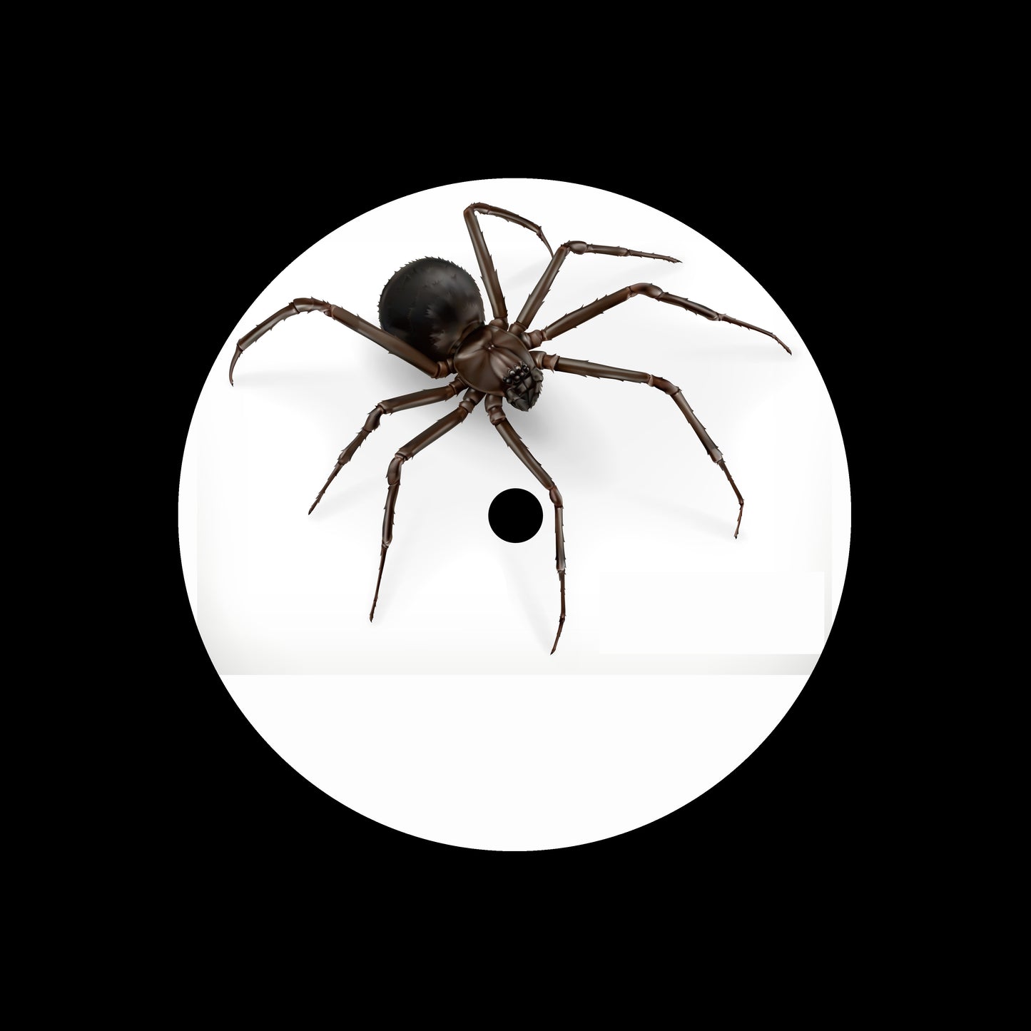 Halloween 3D Spider 7", 10", 12"/LP Vinyl Record Centre Labels (Pair)