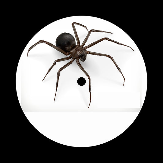 Halloween 3D Spider 7", 10", 12"/LP Vinyl Record Centre Labels (Pair)